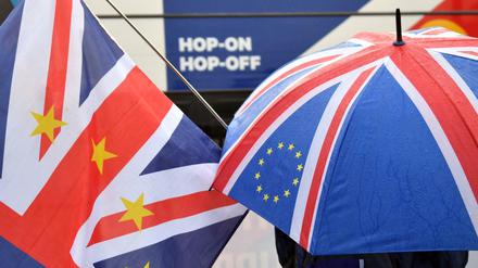 Anti-Brexit-Demonstranten stehen vor dem Parlament in London.