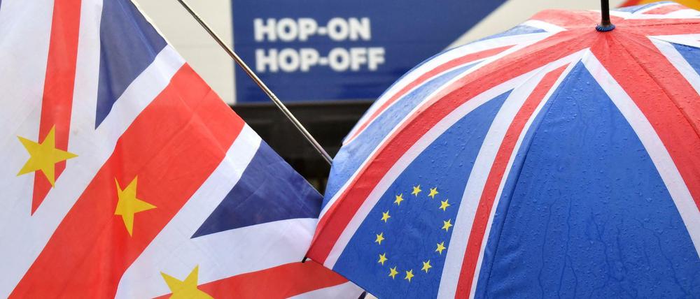Anti-Brexit-Demonstranten stehen vor dem Parlament in London.