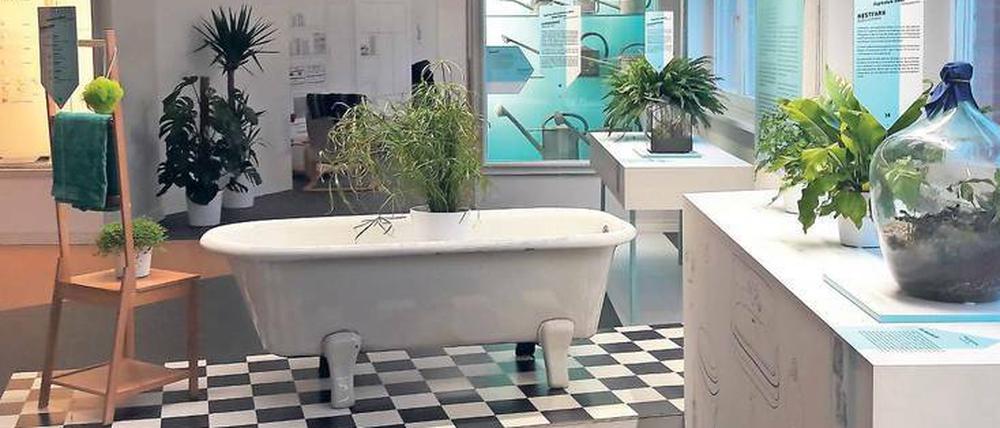 Badezimmer - grün-weiß. Pflanzen sind dekorative Hingucker.