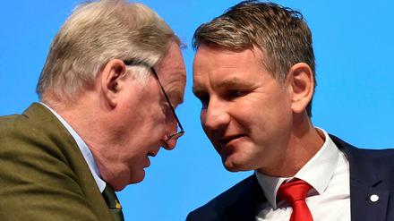 Alexander Gauland (l.) und Björn Höcke