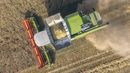 Ein weites Feld. Intensiver, zugleich aber umweltschonender, ressourcensparender und gesünder wird die Landwirtschaft in Zukunft produzieren müssen, will sie die wachsende Weltbevölkerung gut ernähren und gleichzeitig die Natur nicht völlig überrollen.