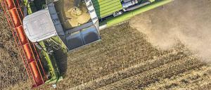 Ein weites Feld. Intensiver, zugleich aber umweltschonender, ressourcensparender und gesünder wird die Landwirtschaft in Zukunft produzieren müssen, will sie die wachsende Weltbevölkerung gut ernähren und gleichzeitig die Natur nicht völlig überrollen.