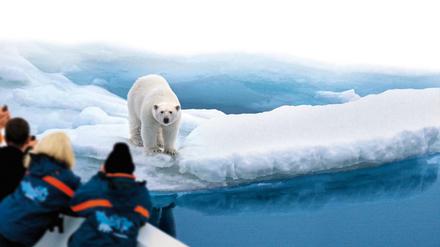 Auge in Auge mit dem Eisbär, dem der Mensch mit seinem Verhalten die Lebensgrundlagen entzieht.