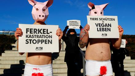 Die Grüne Woche nutzen auch viele Tierschützer, um auf mangelnden Tierschutz aufmerksam zu machen.