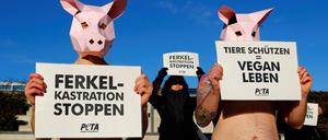 Die Grüne Woche nutzen auch viele Tierschützer, um auf mangelnden Tierschutz aufmerksam zu machen.