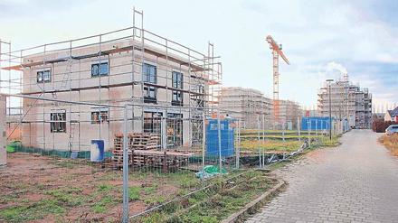 Im Dornröschenschlaf. Der Rohbau der Nähters bleibt aufgrund des „Krötenalarms“ vorerst eingerüstet. 