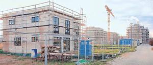Im Dornröschenschlaf. Der Rohbau der Nähters bleibt aufgrund des „Krötenalarms“ vorerst eingerüstet. 