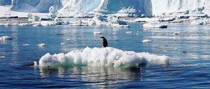 Auf verlorenem Posten. Das Eis am Südpol schmilzt infolge der Treibhausgasemissionen der Menschheit sechsmal so schnell wie noch in den 1980er Jahren, warnt die Universität von Kalifornien. Jährlich sind es derzeit 252 Milliarden Tonnen. Der Meerespegel steigt und ist eine Gefahr fürs das Überleben der Zivilisation auf der Erde.