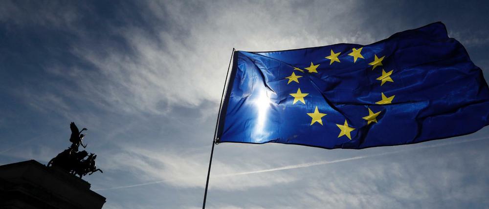 Eine EU-Flagge weht bei einer Demonstration im Hyde Corner Park in London.