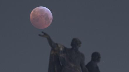 Der "Blutmond" hinter einer Mattielli-Statue auf der Katholischen Hofkirche in Dresden