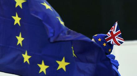 Ein Brexit-Gegner vor dem britischen Parlament.