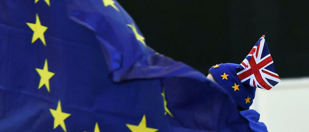 Ein Brexit-Gegner vor dem britischen Parlament.