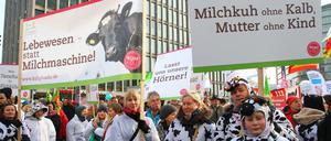 Am Samstag wollen wieder Tausende Menschen auf die Straße gehen, um für eine nachhaltigere und gerechtere Landwirtschaft zu protestieren (Archivbild).