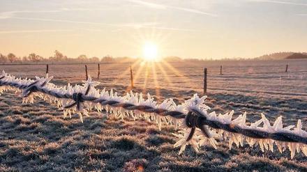 Idyllischer Frost. Auf einem Feld in der Nähe von Hannover war am Montag eine malerische Winterlandschaft zu sehen.