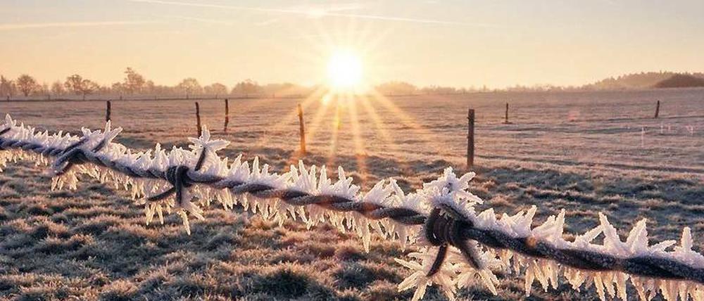Idyllischer Frost. Auf einem Feld in der Nähe von Hannover war am Montag eine malerische Winterlandschaft zu sehen.