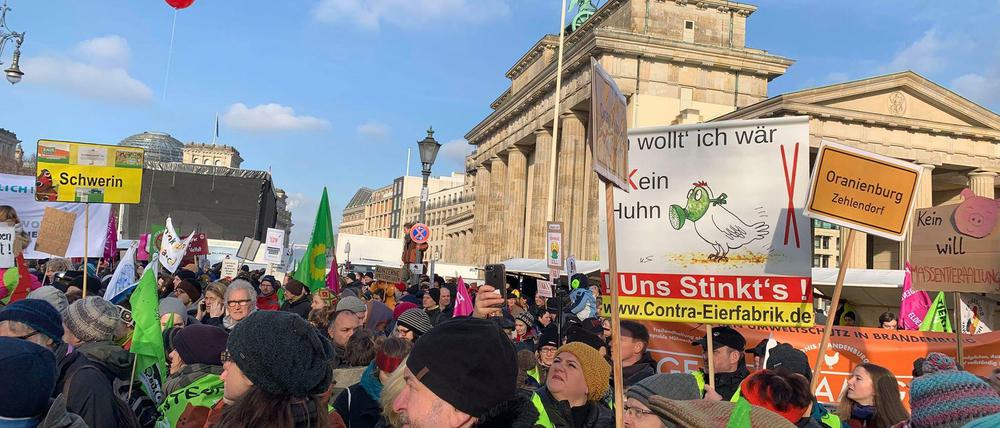 Angeführt von Traktoren ging der Demonstrationszug um 13.20 Uhr am Brandenburger Tor los.