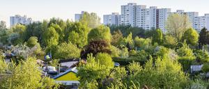 Kleingartenanlage am Plaenterwald in Berlin.