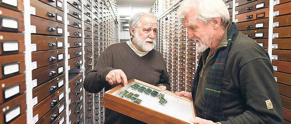 Käfer-Experten wie Hans Mühle (l.) und Franz Wachtel gibt es immer weniger.