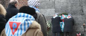 Gedenken an die Befreiung des ehemaligen Konzentrationslagers Auschwitz-Birkenau vor 74 Jahren. 
