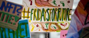 "Fridays for Future": auf einer Demonstration von Schülern gegen den Klimawandel.