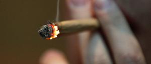Fatale Suchtmittel. Besonders Cannabis ist an Schulen ein Problem.