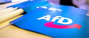 Die AfD gilt als „Prüffall“. Die AfD-Jugend und der „Flügel“ um Höcke werden vom Verfassungsschutz beobachtet.