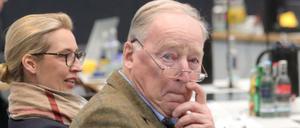 Alice Weidel und Alexander Gauland, die Fraktionsvorsitzenden der AfD. Böse? Vielleicht. Banal? Wahrscheinlich. 