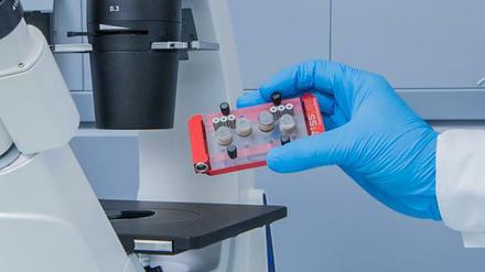 Bei TissUse entsteht ein Multi-Organ-Chip.