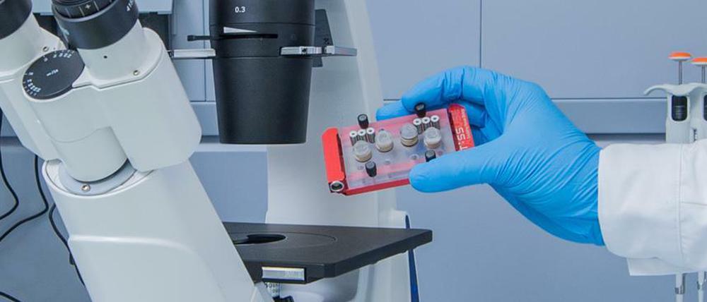 Bei TissUse entsteht ein Multi-Organ-Chip.