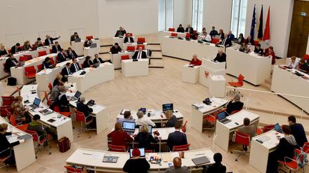 Männer und Frauen sollen im Brandenburger Landtag gleicher verteilt sein. 