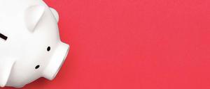 Wer eine Steuererklärung macht, kann mit den zu erwartenden Rückzahlungen das Sparschwein füllen.