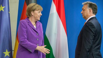 Abgekühltes Verhältnis. Kanzlerin Angela Merkel und Ungarns Regierungschef Viktor Orban im Jahr 2014 in Berlin.