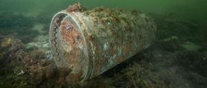 Torpedokopf in der "Kolberger Heide", einem Teil der Kieler Bucht.