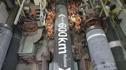 600 Kilometer der Pipeline Nord Stream 2 hat Gazprom bereits in der Ostsee verlegt.