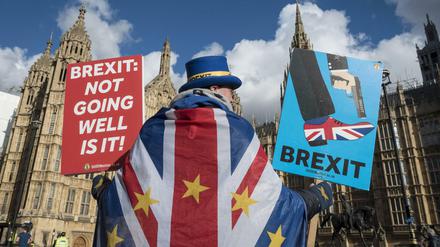 Nicht alle Briten wollen die EU verlassen.