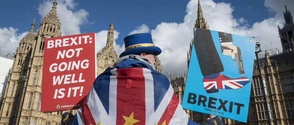 Nicht alle Briten wollen die EU verlassen.