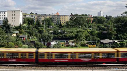 Wohnhäuser und Kleingärten - wie geht das zusammen? Für günstigen Wohnraum in Berlin müssen nach Ansicht von Baukammervorstand Christian Müller auch Kleingärten und Grünanlagen weichen.