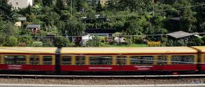 Wohnhäuser und Kleingärten - wie geht das zusammen? Für günstigen Wohnraum in Berlin müssen nach Ansicht von Baukammervorstand Christian Müller auch Kleingärten und Grünanlagen weichen. 