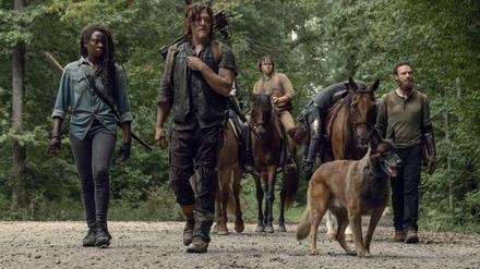 Die Zombie-Saga "The Walking Dead" lag in der Gunst der Serien-Fans 2018 vorn. Das liegt nicht zuletzt daran, dass es von "Game of Thrones" im vergangenen Jahr keine neue Staffel gab.