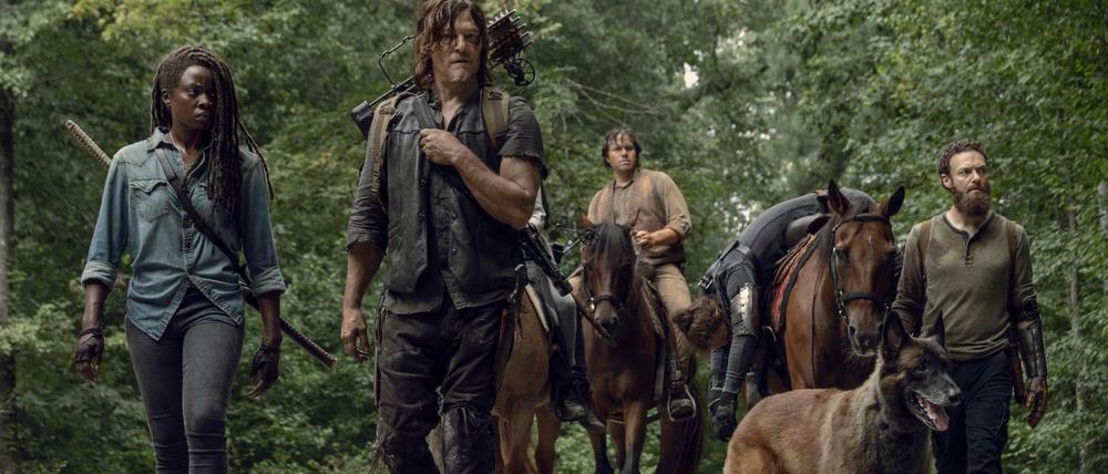 Die Zombie-Saga "The Walking Dead" lag in der Gunst der Serien-Fans 2018 vorn. Das liegt nicht zuletzt daran, dass es von "Game of Thrones" im vergangenen Jahr keine neue Staffel gab. 
