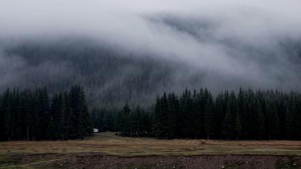 Szenenbild aus "Olanda".