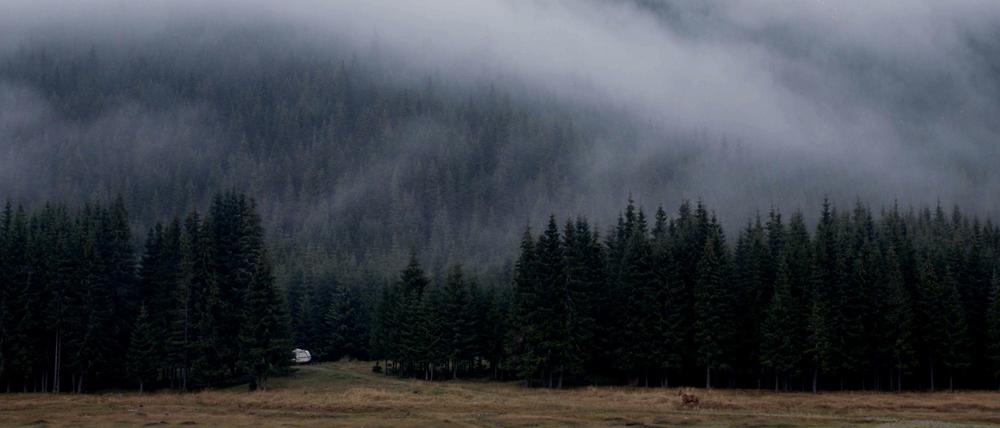 Szenenbild aus "Olanda".