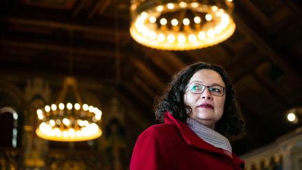 SPD-Chefin Andrea Nahles