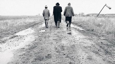 Vor 25 Jahren wurde Béla Tarrs siebenstündiges, kritisches Klagelied auf der Berlinale gezeigt. 