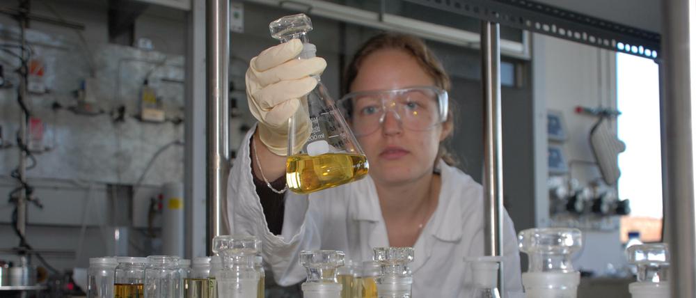 Welche Faktoren steuern die Kopplung von enzymatischen Prozessen? In Pflanzen laufen sie blitzschnell nacheinander ab.