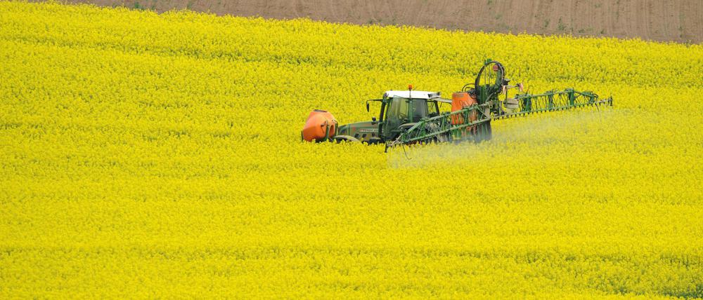 Eine EU-Bewertung zum Unkrautvernichter Glyphosat hatte heftige Kritik ausgelöst.