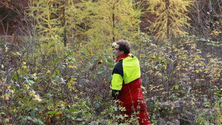 Gleich hackt’s. Im Naturpark Spessart fällen Laien unter Anleitung des Försters Bäume und helfen bei der Aufforstung.