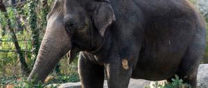 45 Jahre wurde Iyoti alt.