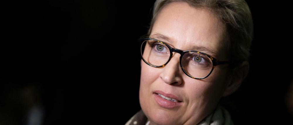 Wegen der Spende wird auch gegen AfD-Fraktionschefin Alice Weidel ermittelt.