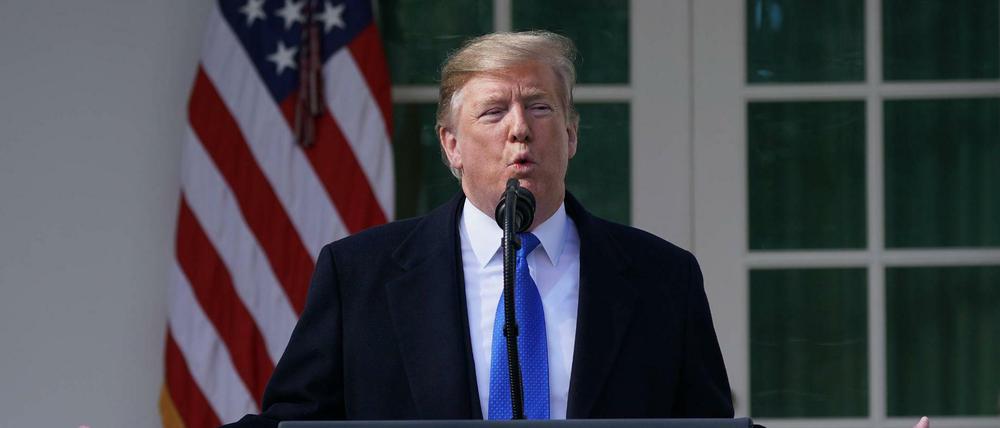 Donald Trump bekommt ausnahmsweise Unterstützung von Linken und Grünen.